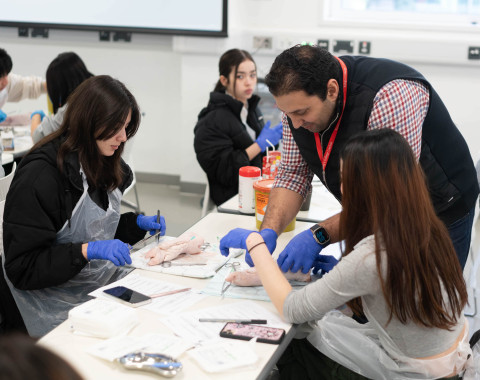 Будущий врач (Imperial College)